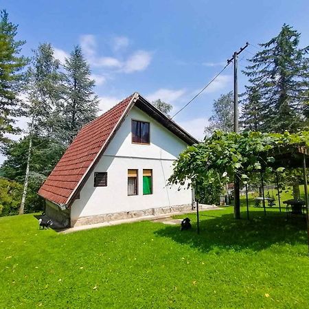 Takovo - Odmor U Selu Villa Gornji Milanovac Exterior foto