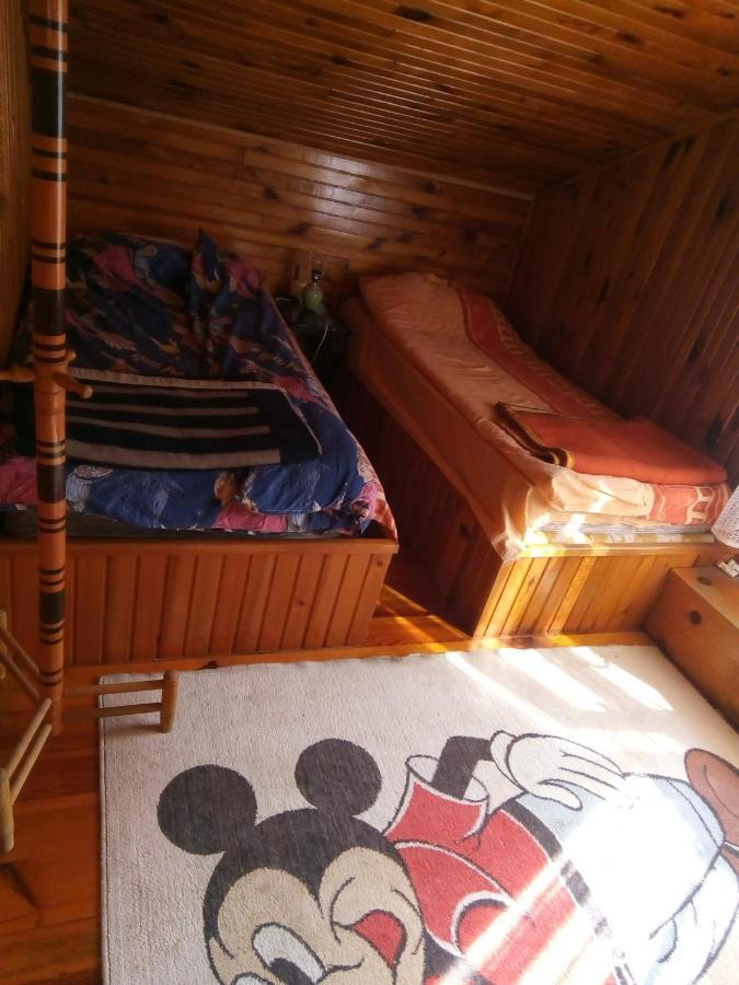 Takovo - Odmor U Selu Villa Gornji Milanovac Exterior foto