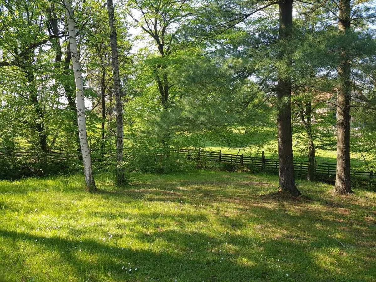 Takovo - Odmor U Selu Villa Gornji Milanovac Exterior foto