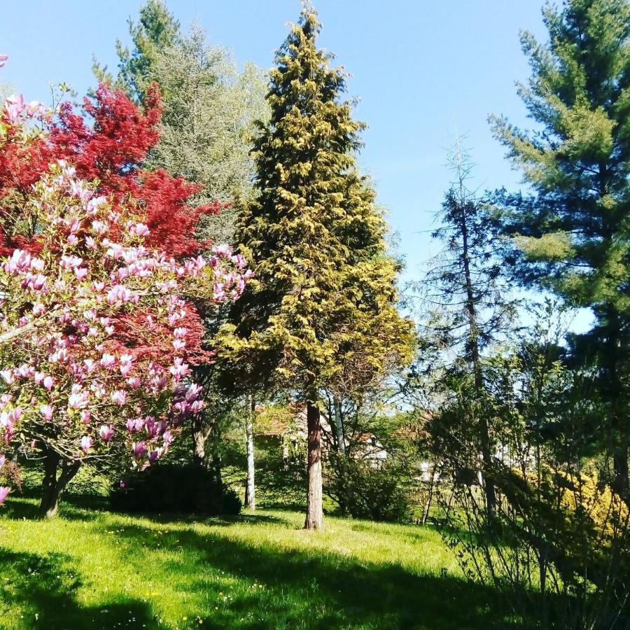 Takovo - Odmor U Selu Villa Gornji Milanovac Exterior foto