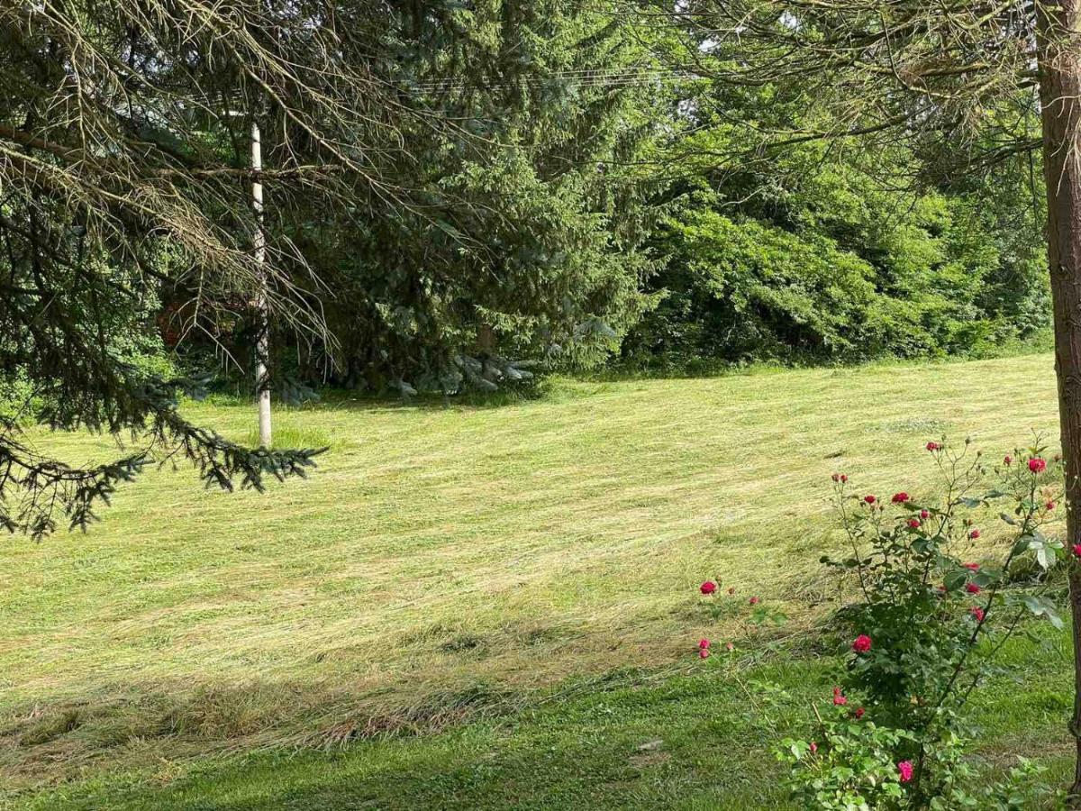 Takovo - Odmor U Selu Villa Gornji Milanovac Exterior foto