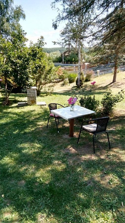 Takovo - Odmor U Selu Villa Gornji Milanovac Exterior foto