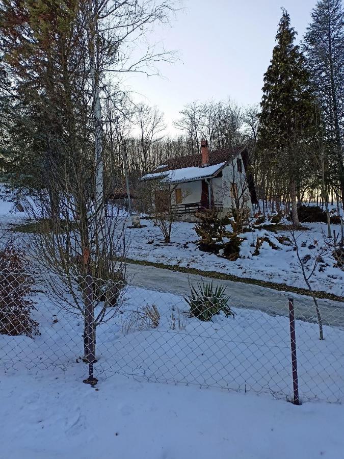 Takovo - Odmor U Selu Villa Gornji Milanovac Exterior foto