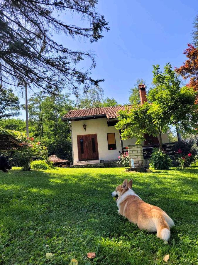 Takovo - Odmor U Selu Villa Gornji Milanovac Exterior foto