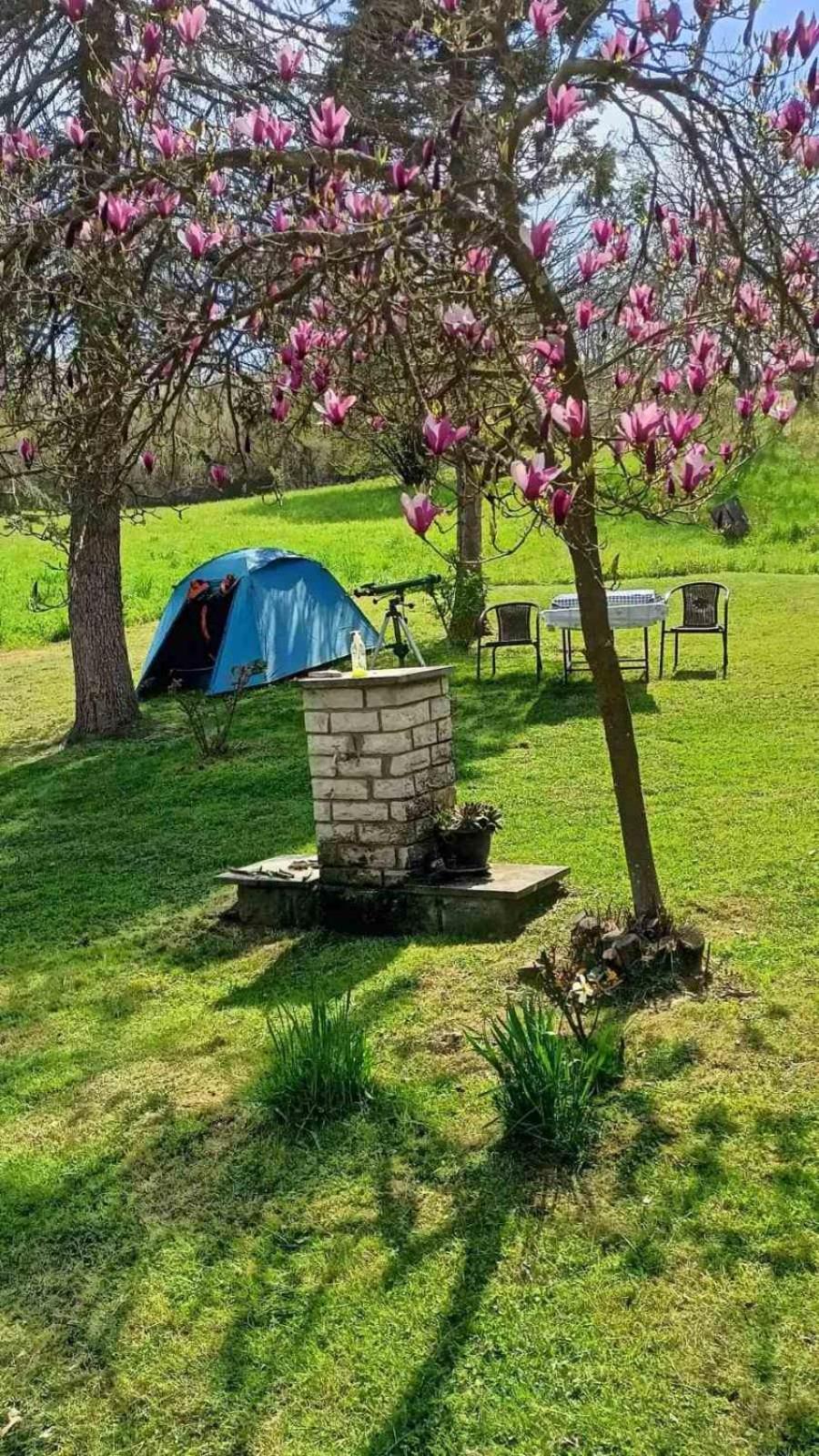 Takovo - Odmor U Selu Villa Gornji Milanovac Exterior foto