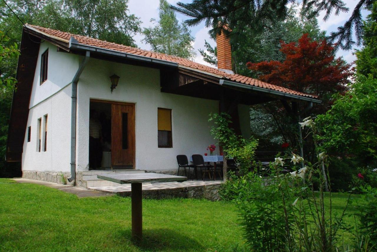 Takovo - Odmor U Selu Villa Gornji Milanovac Exterior foto